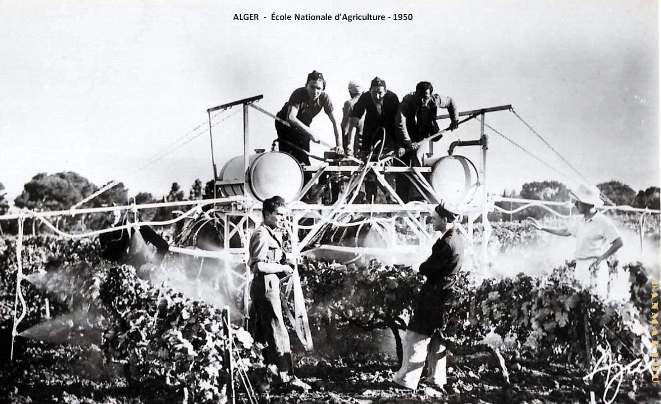 Alger - Ecole Nationale d'Agriculture - 1950 .jpg